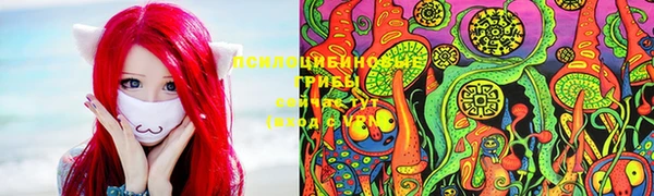 шишки Балахна