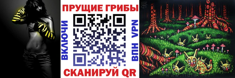 Галлюциногенные грибы Psilocybe Новотитаровская